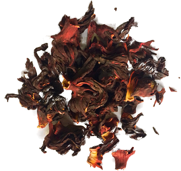 Hibiskus Kwiat.png