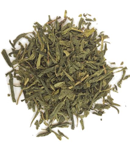 sencha png.png
