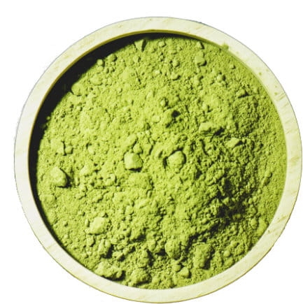 Matcha proszek zdjęcie.jpg