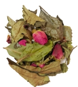 White Rose Susz.jpg