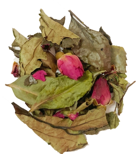 White Rose Susz.jpg