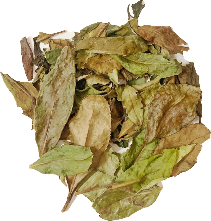 White Pain Mu Tan Susz.jpg