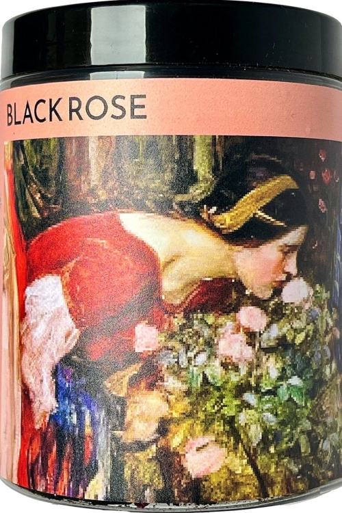 Black Rose.jpg