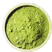 matcha photo.png