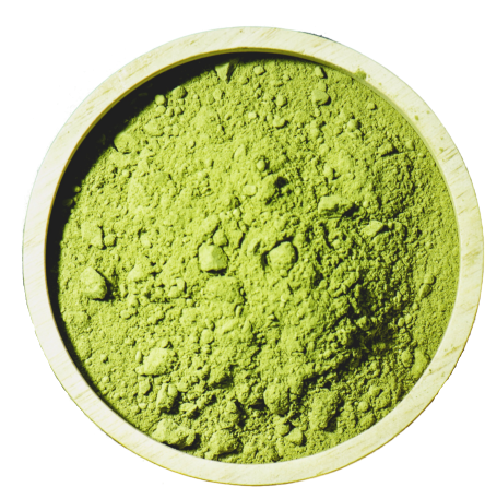 matcha photo.png